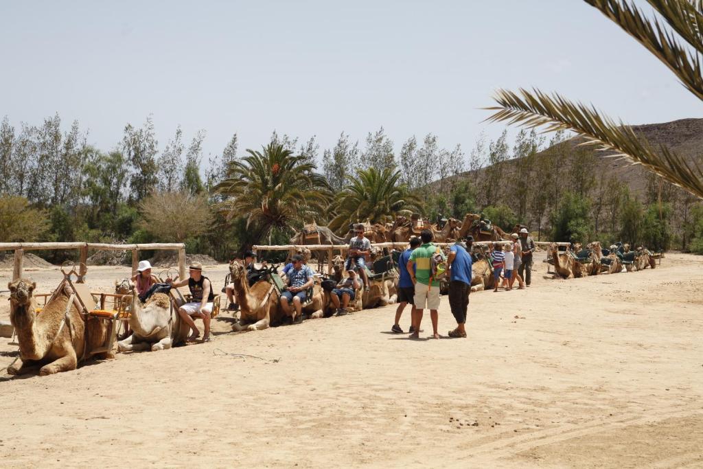 ホテルBungalows El Jardin Pájara エクステリア 写真